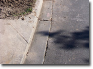 Photo of a concrete kerb and nature strip.