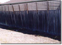 Photo of an old fence which has been made taller by the addition of lattice.