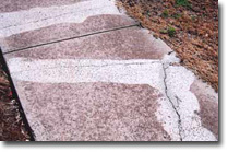 Photo of a cracked footpath.