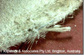 Photo of friable asbestos which is quite fibrous.