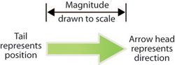 Diagram showing magnitude drawn to scale. Below the scale is an arrow. The tail represents position and the head represents direction. 