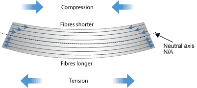 Diagram of the layers of fibre that make up a beam. For the fibres above the neutral axis the fibres are shorter due to compression. For the fibres below the neutral axis the fibres are longer due to tension. The beam is slightly curved to reflect the pressure. 