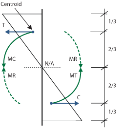 Diagram that illustrates the tensile and compressive stresses result in a turning effect about the neutral axis.