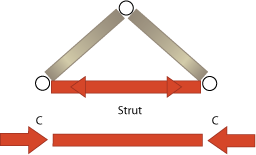Diagram of a strut. Below the strut is a representation of the member being compressed. 