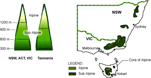 This picture contains following scene. Diagram displaying the alpine and sub-alpine heights in two regions. The first region includes NSW, ACT and Victoria. The second region is Tasmania. Map of the states of NSW, Victoria and Tasmania with several alpine and sub-alpine regions shaded. There are four major alpine regions - one north of Sydney, one west of Sydney, a large area which spans the border between NSW and Victoria and a large area in the centre of Tasmania. There are two major alpine areas - one spanning the NSW and Victorian border, the other in the centre of Tasmania. 