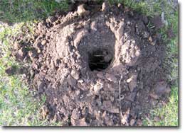 Photo of a hole which has been dug by machine. 