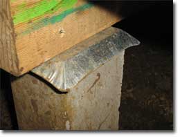 Picture of termite resistant material. 