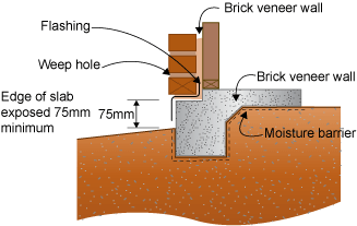 Diagram of concrete slab with brick veneer wall showing termite detection points. 