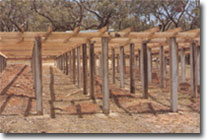 Photo of conventional timber bearers and floor joists. 