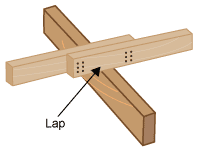 Diagram of a lap