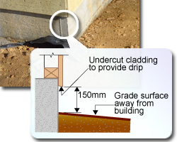 Photo of an external corner of a weatherboard with a close-up showing detail in a diagram. This shows that the timber cladding is undercut to provide drip, then there is a 150 mm gap to the board below which has the surface graded away from the building.