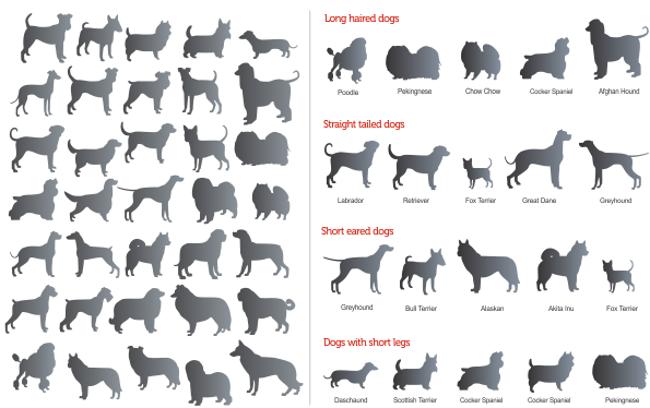 Dogs categorised into logical groups