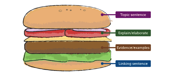 Hamburger metaphor: topic sentence, explain/elaborate, evidence/examples, linking sentence