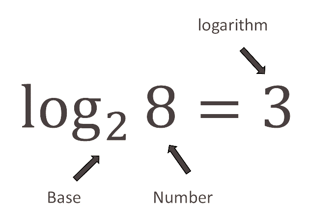 Base, number and logarithm