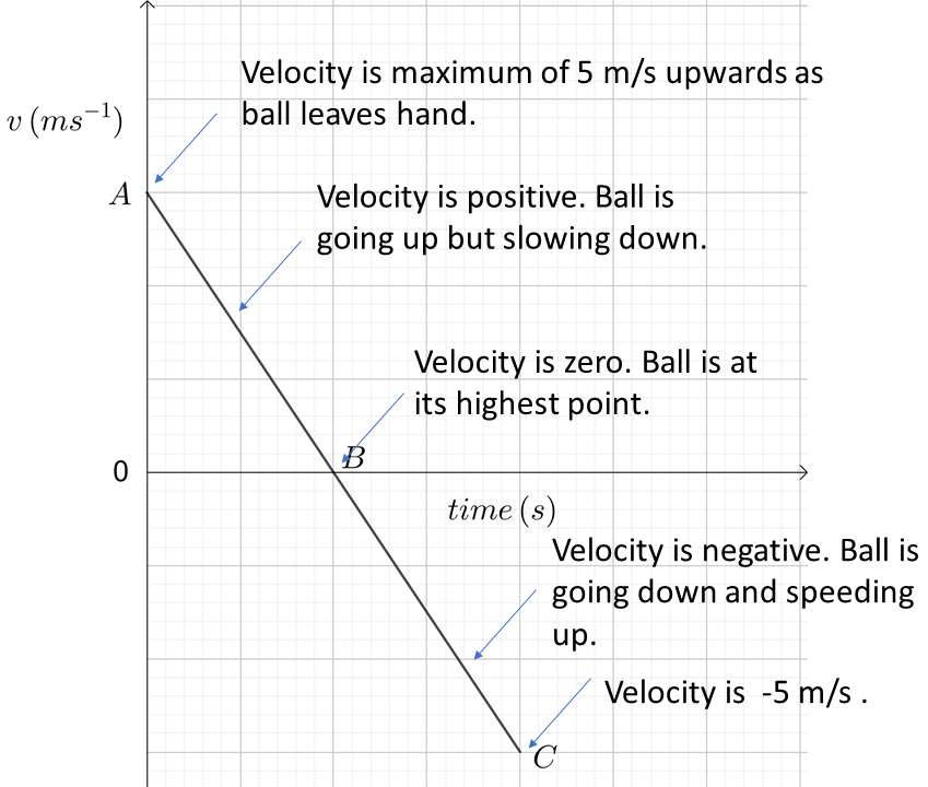 Linear velocity versus time graph describing velocity of ball at various times.