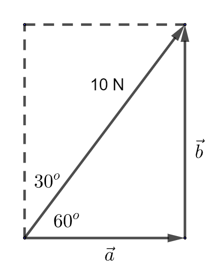 Force of 10 Newtons in terms of horizontal and vertical components