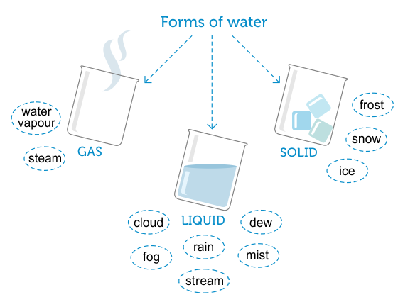 Main topic at the top in text (Forms of water). Branching out in three directions: Gas, Liquid and Solid. Each of these three sections have sub-points in circles.