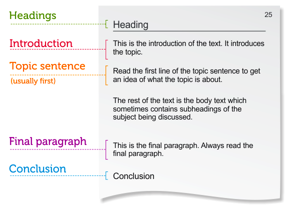 Subheadings of a literature review