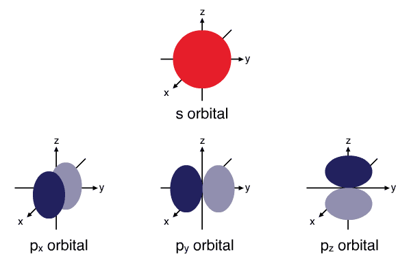 Shapes of atomic orbitals